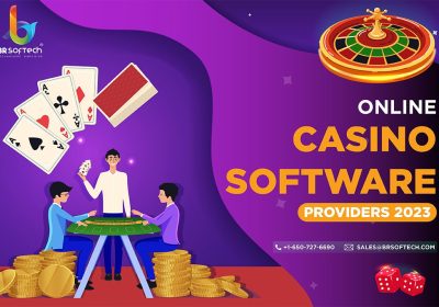 Live Casino Software Providers: Leaders in Live Gaming